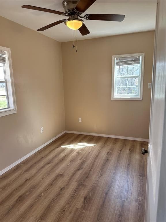 Gallery image 2
