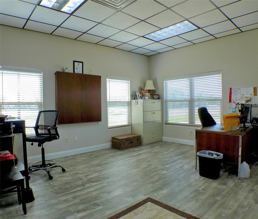 Gallery image 5