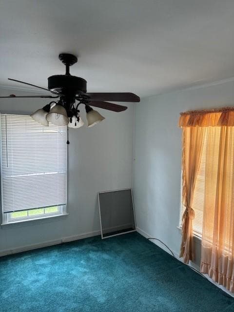 Gallery image 2