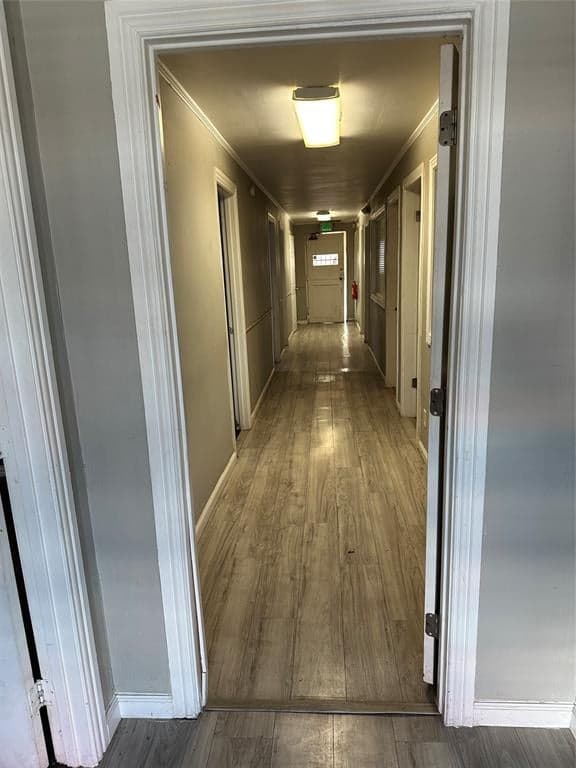 Gallery image 4