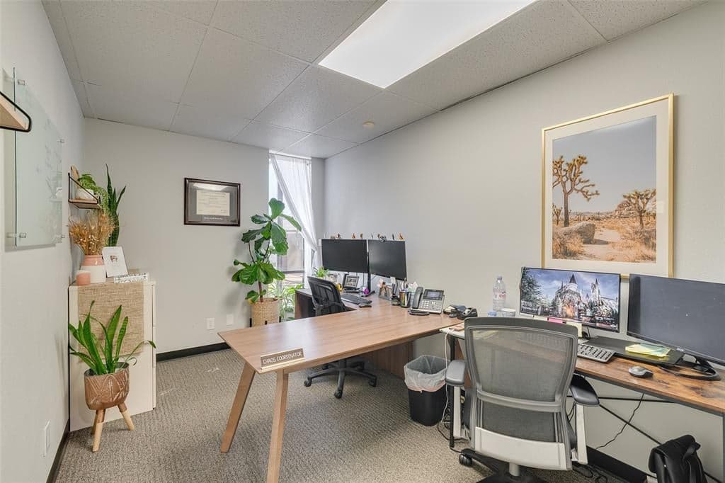 Gallery image 4