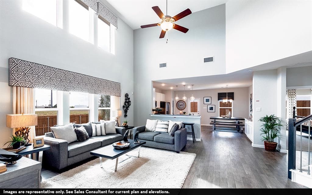 Gallery image 4