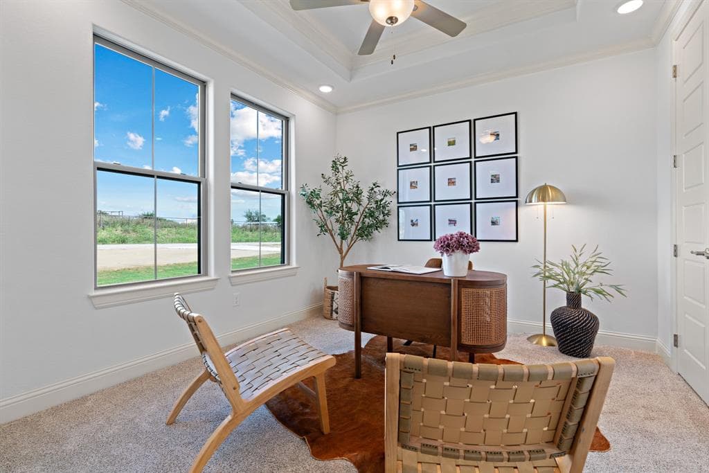 Gallery image 4