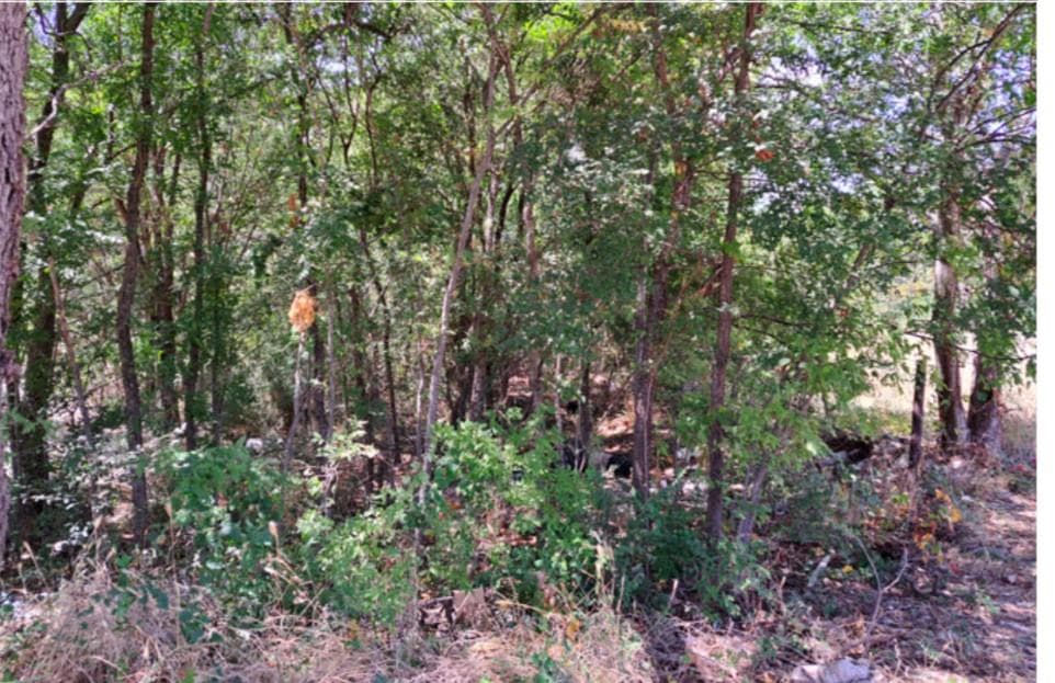 2215 Dowdy Ferry Rd