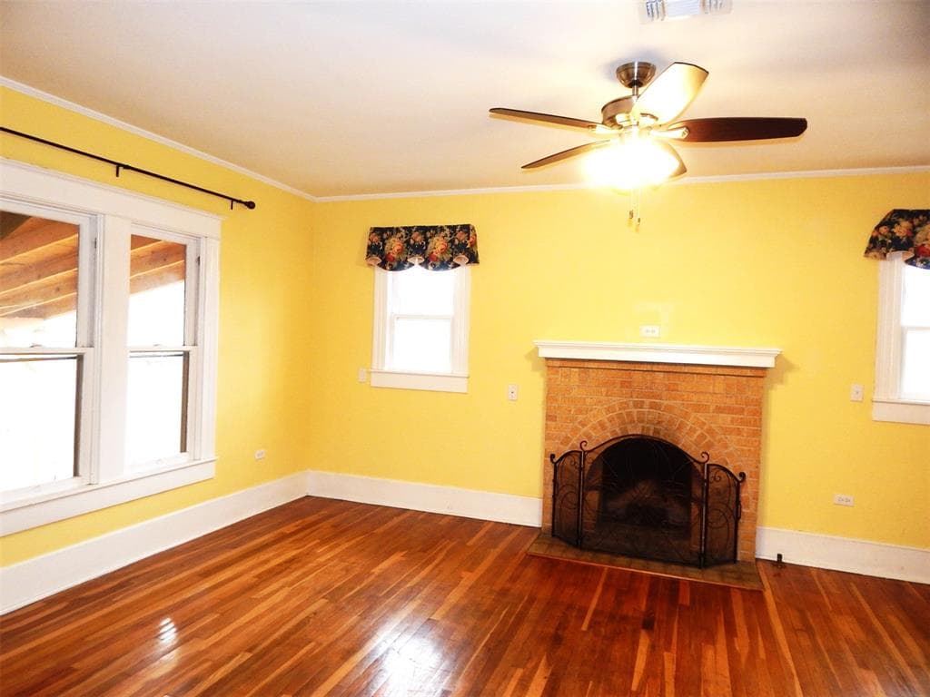 Gallery image 5