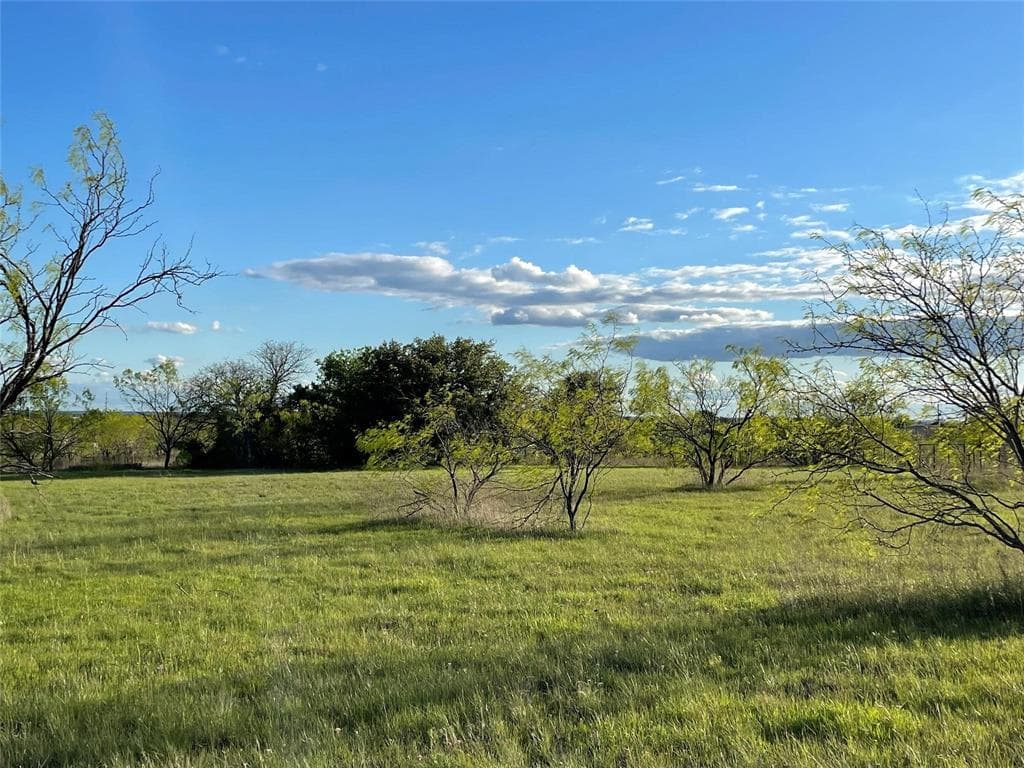 129 Tobiano Trce