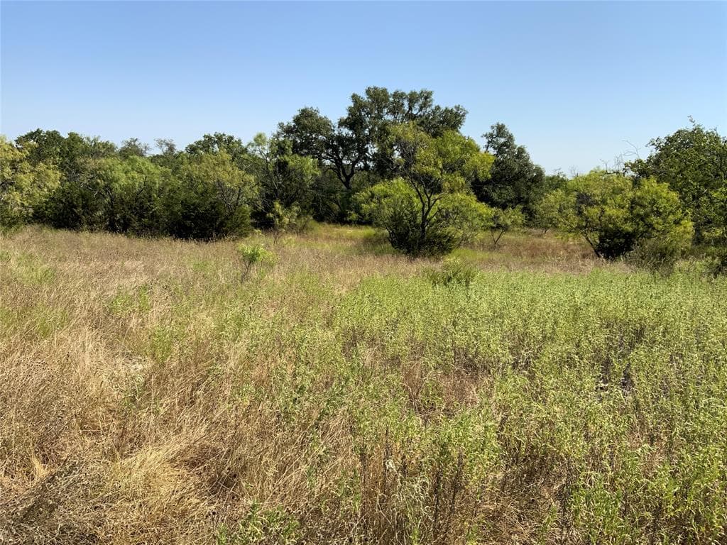 1133 County Road 175