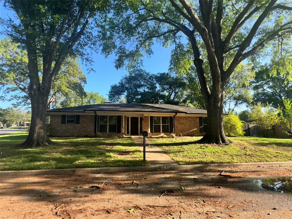 801 Shelby Ln