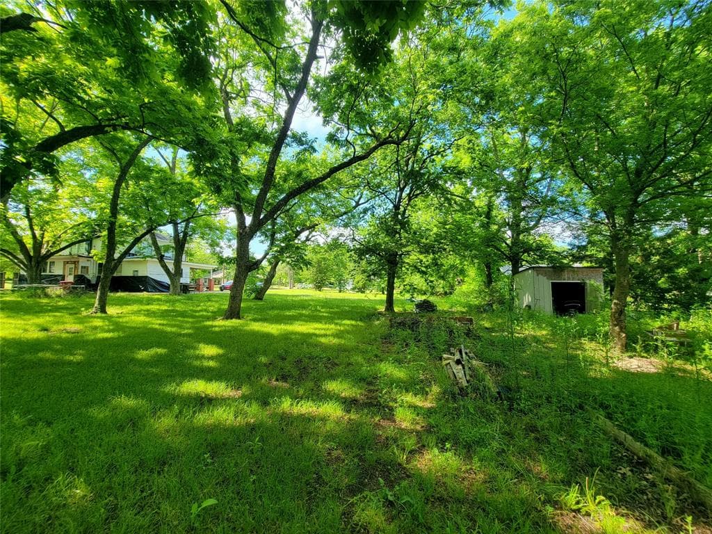 Gallery image 4