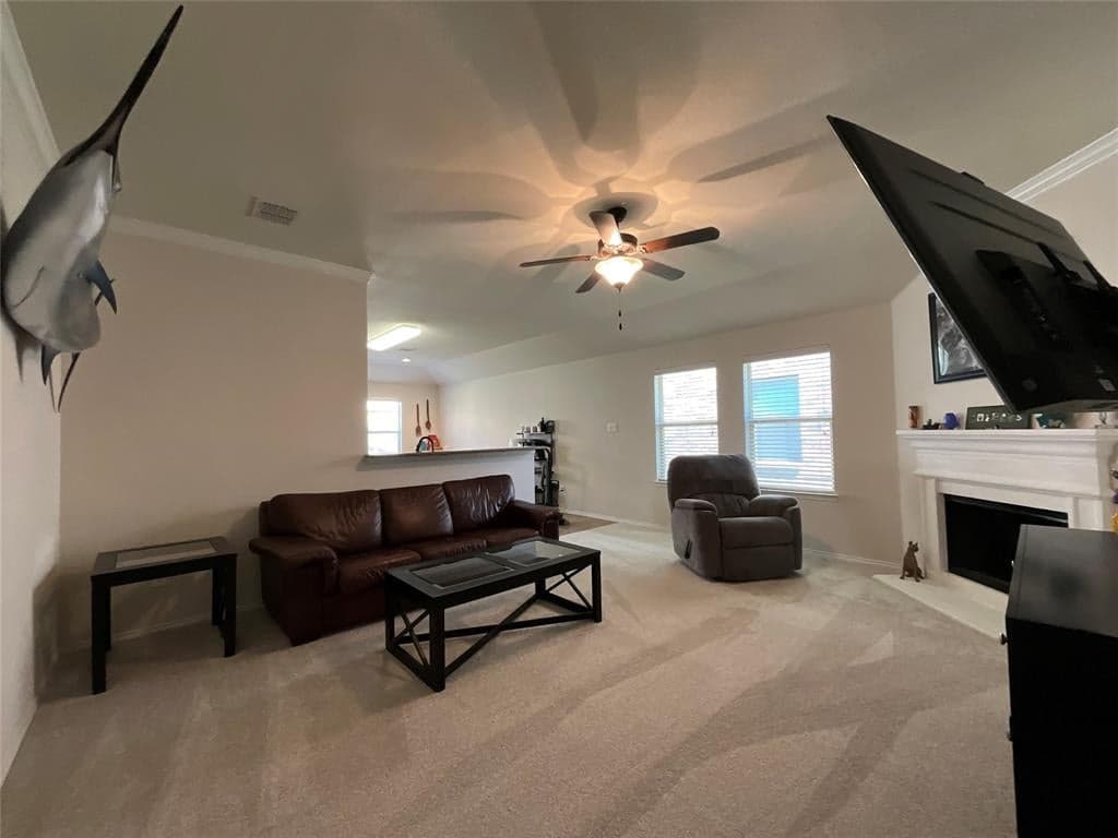 Gallery image 5