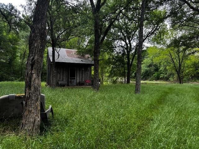 Gallery image 5