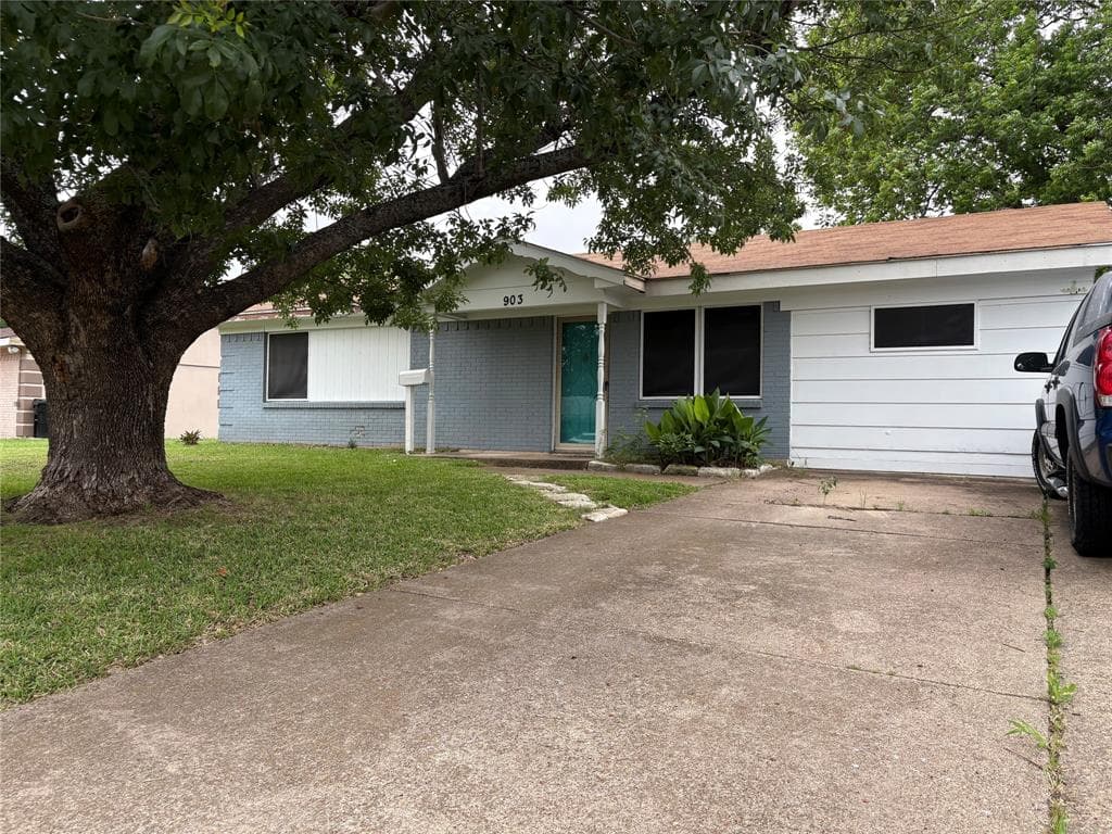 903 Caladium Dr