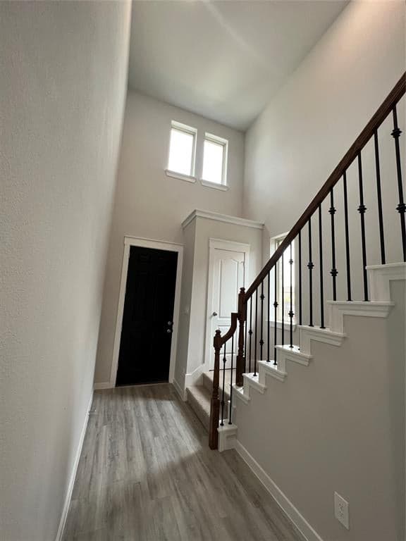 Gallery image 4