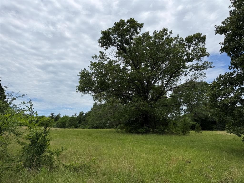 4451 County Road 2295