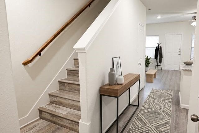 Gallery image 4