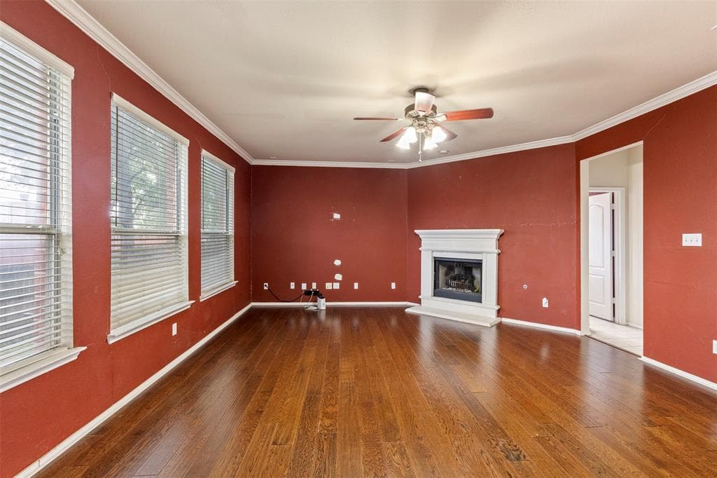 Gallery image 5