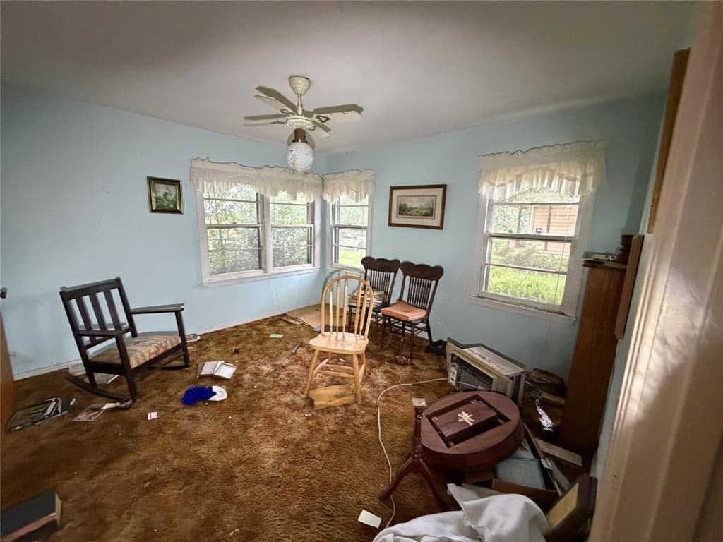 Gallery image 5