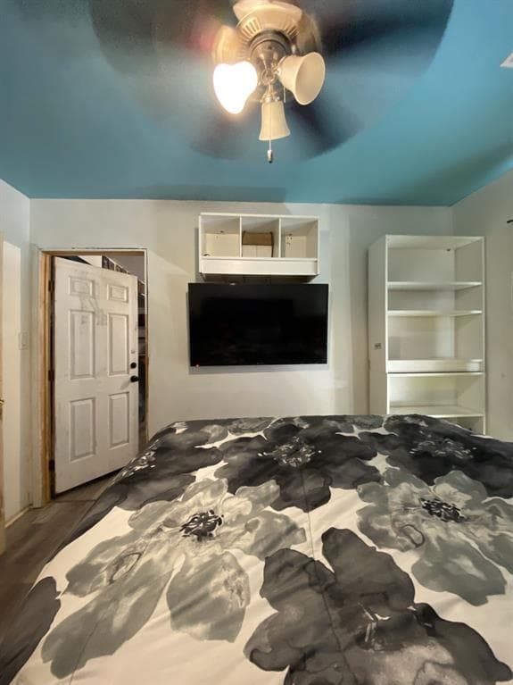 Gallery image 4