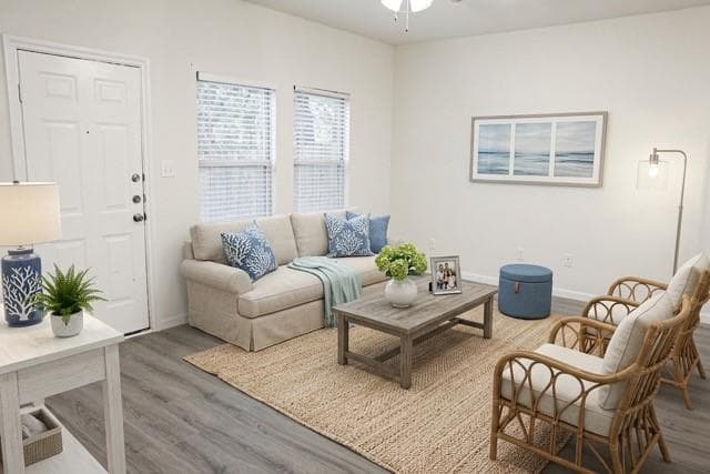 Gallery image 3
