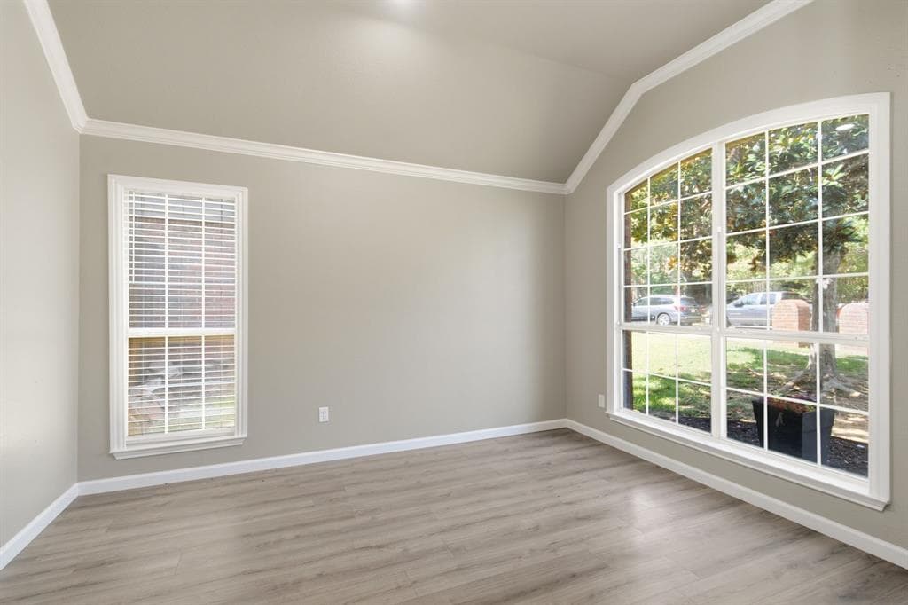 Gallery image 5