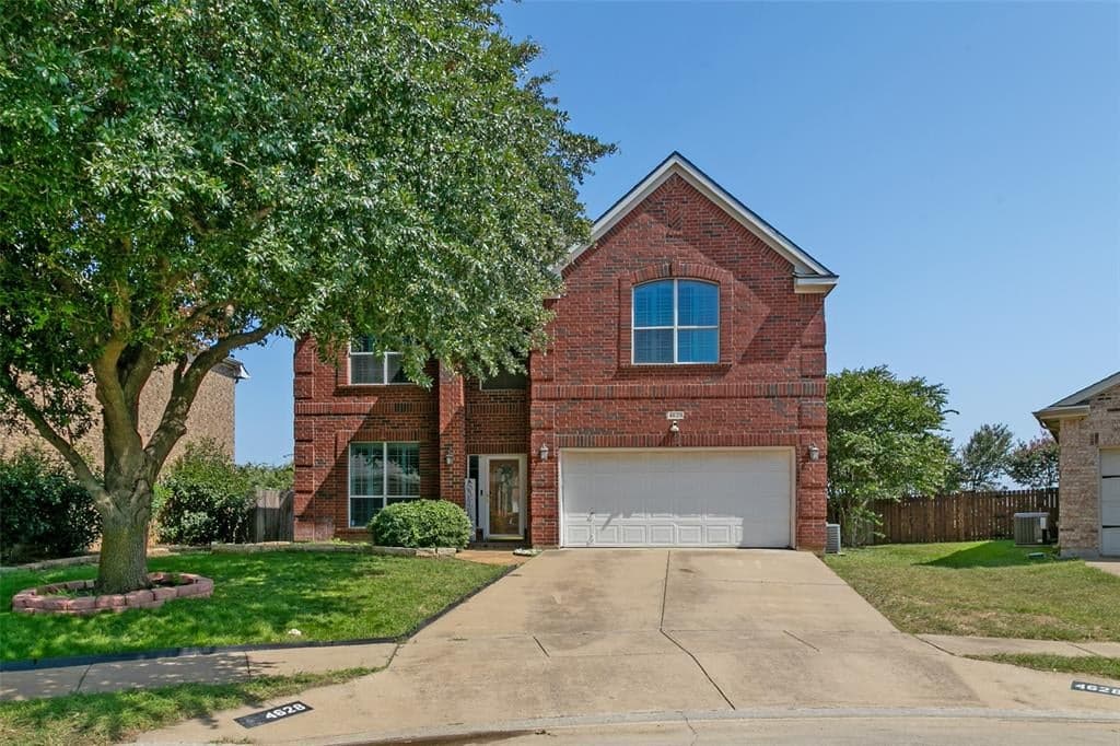4628 Barberry Tree Cv