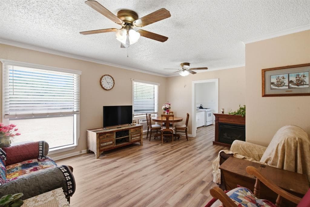 Gallery image 5