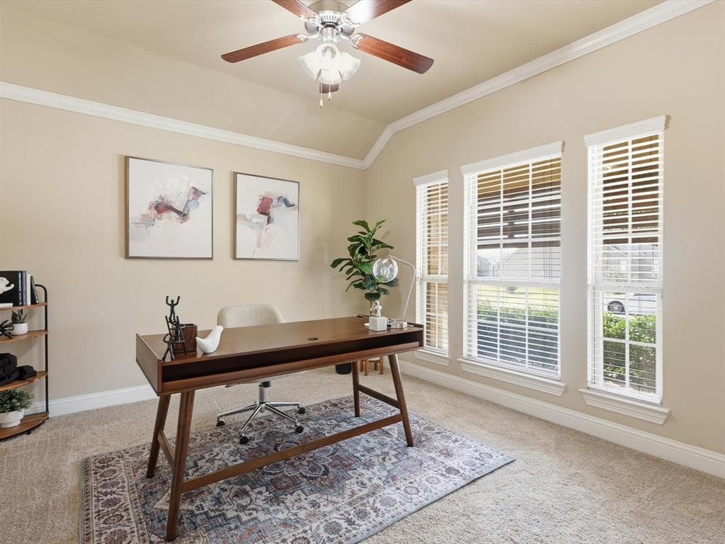 Gallery image 5
