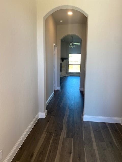 Gallery image 2