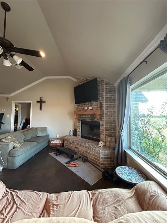 Gallery image 5