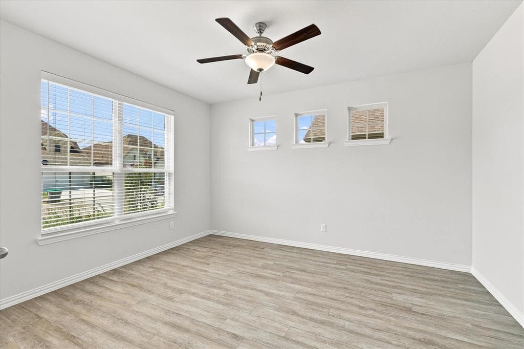 Gallery image 3