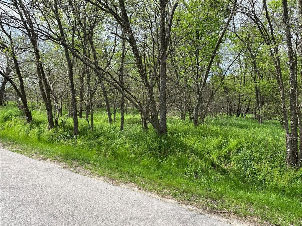 Gallery image 5
