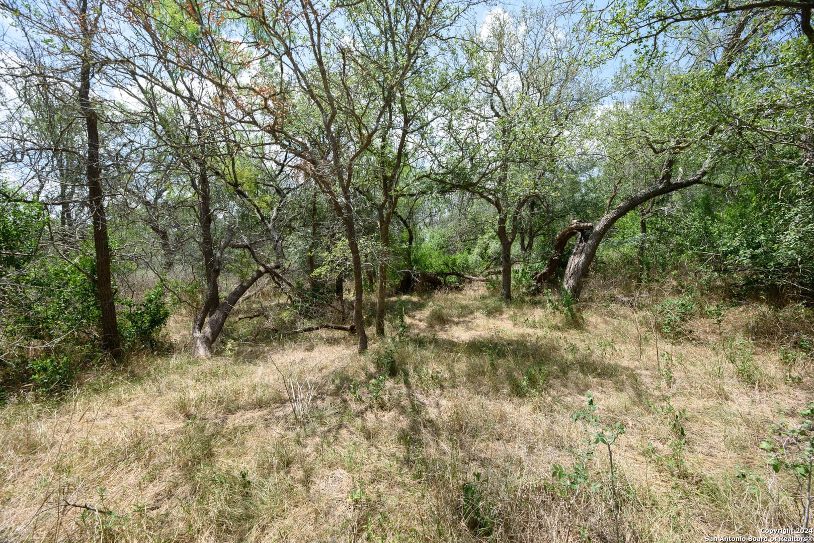 Gallery image 4