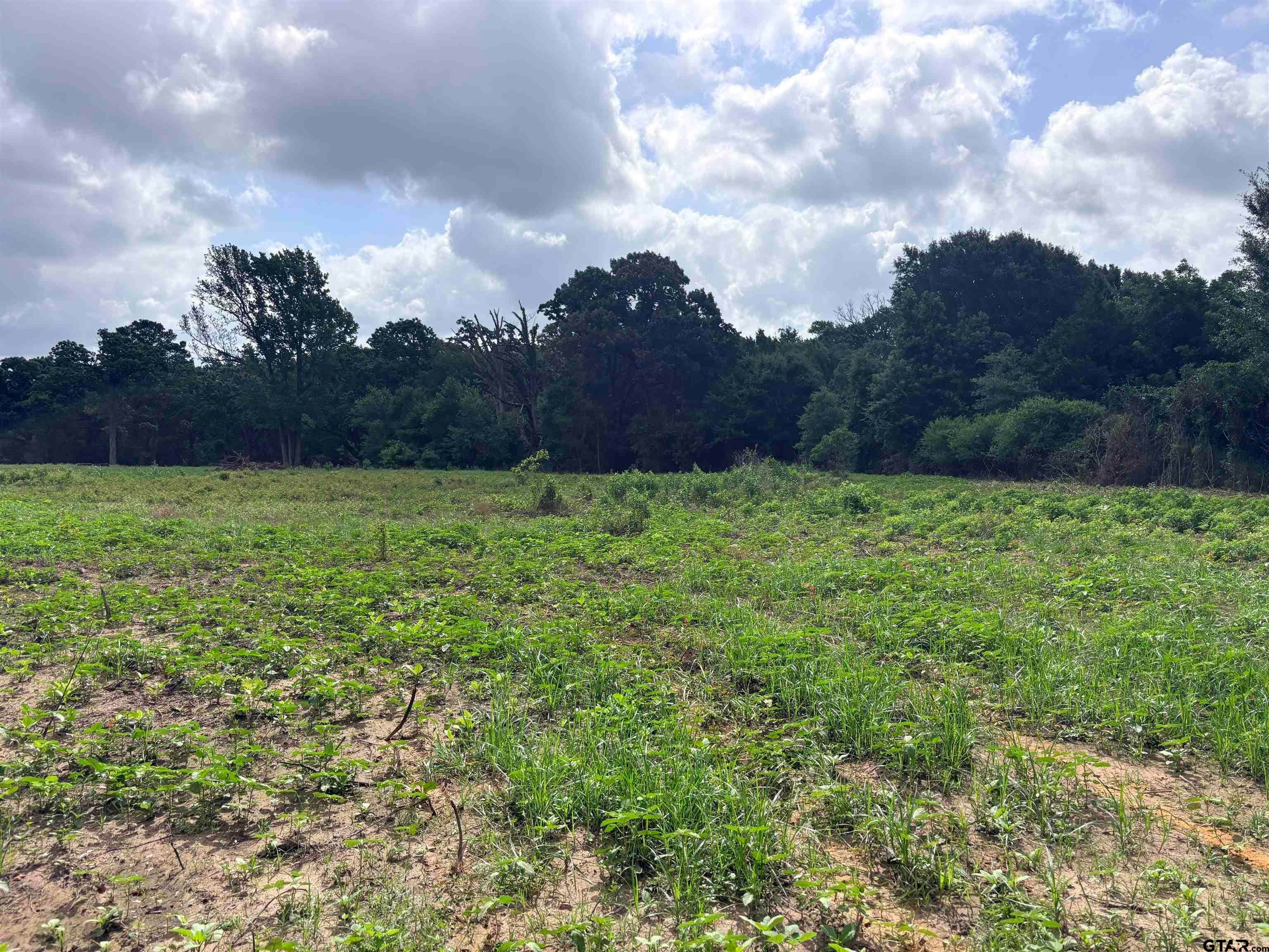 Main property image