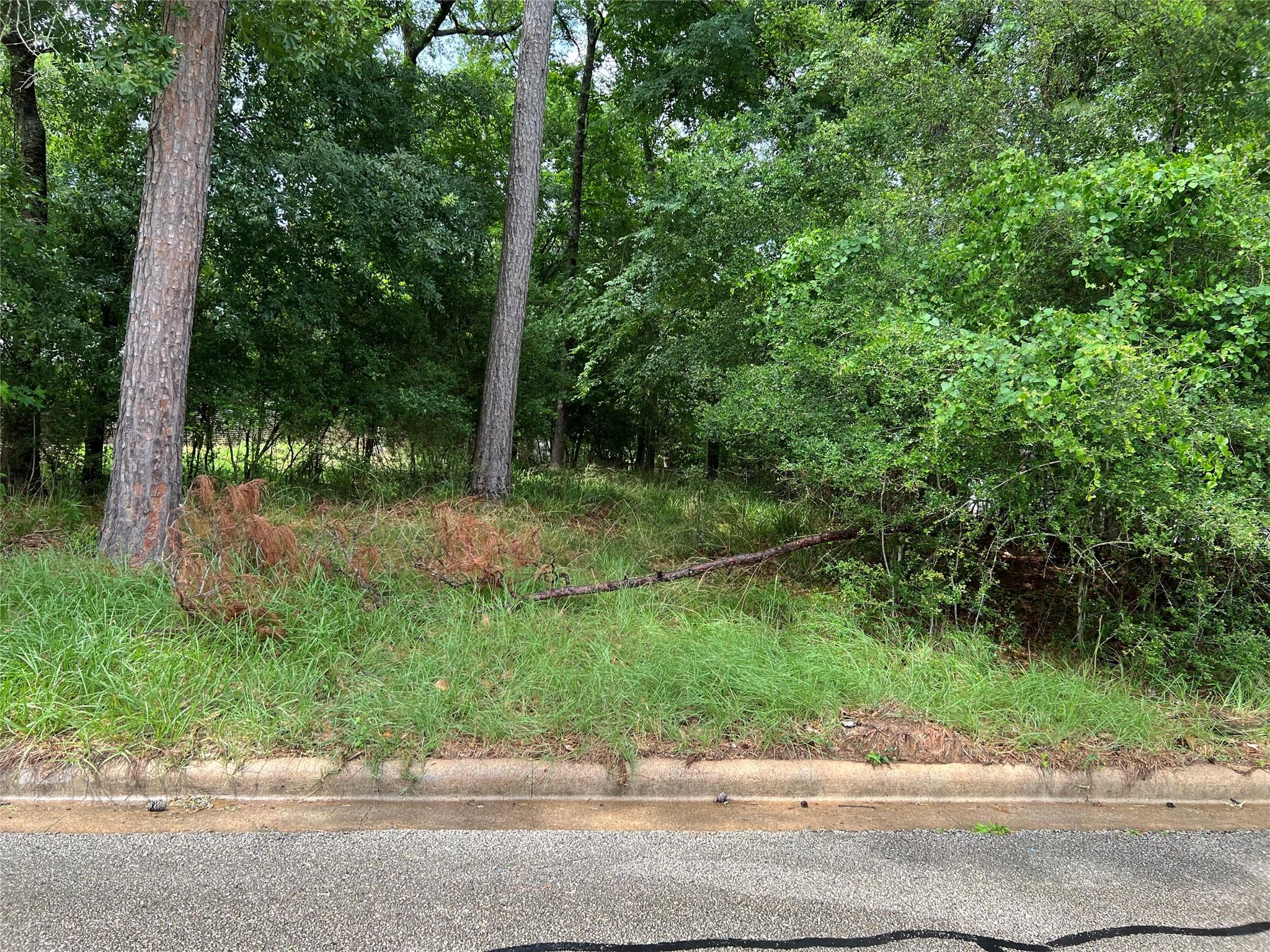 Main property image