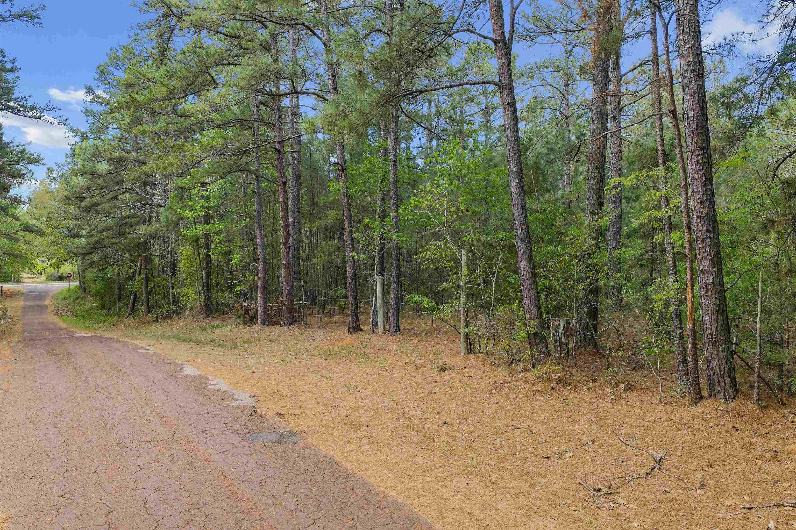 Main property image