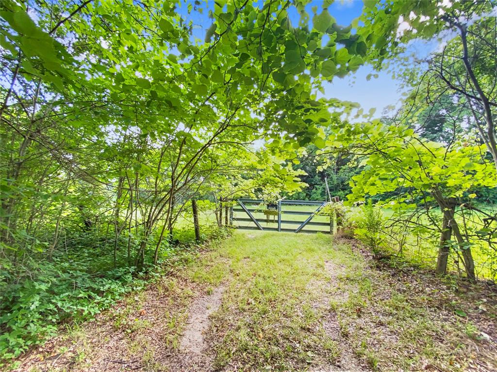 Main property image