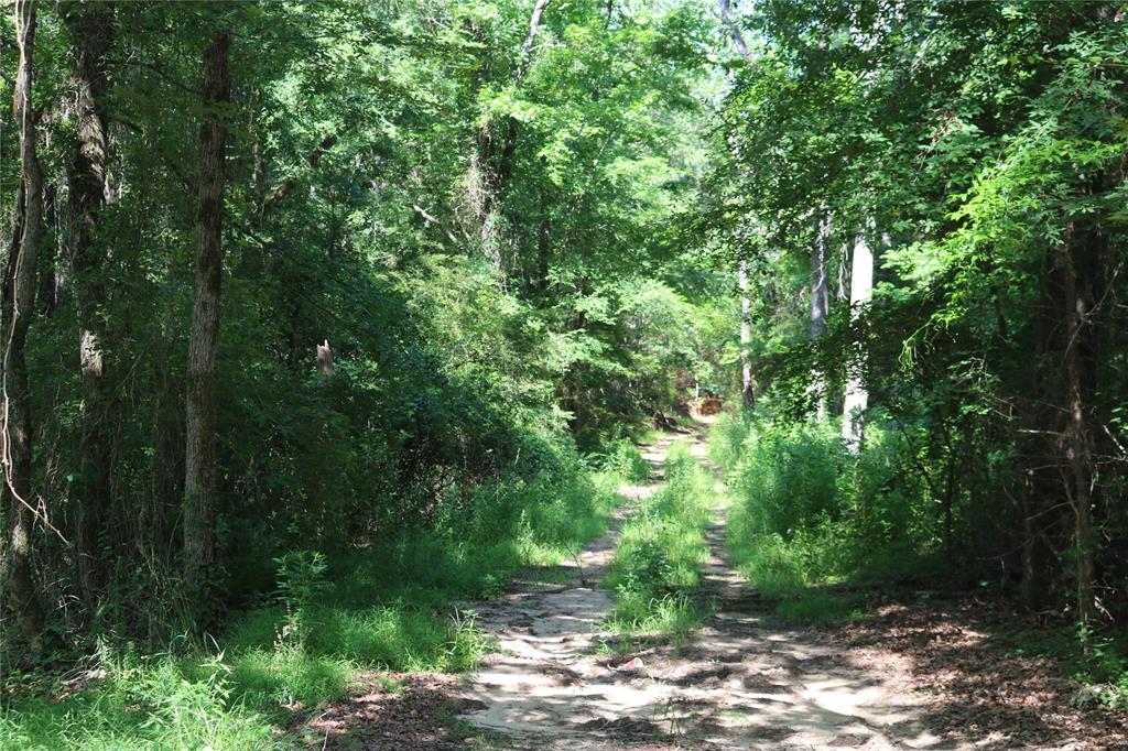 Main property image