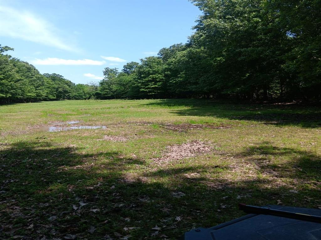 Main property image